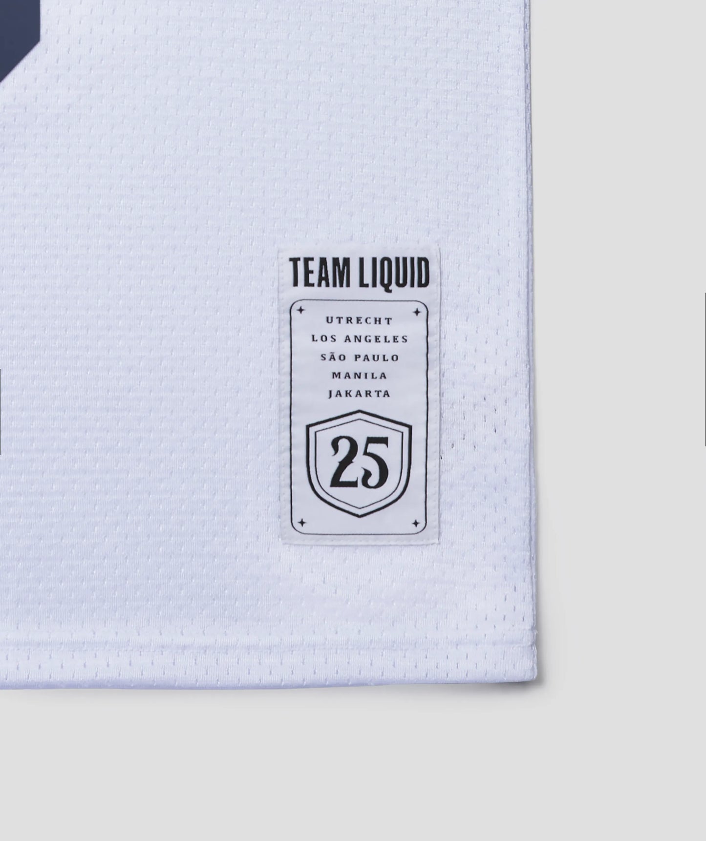 QUARTER CENTURY BASKETBALL JERSEY